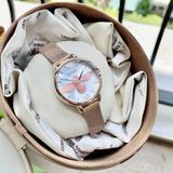 Đồng hồ Gemax Ladies Watch 9108WRW