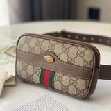 Túi Gucci 51930896IWS8745