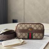 Túi Gucci 51930896IWS8745