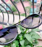 Mắt kính Maui Jim Gs260-02D