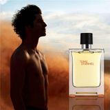 Nước hoa nam HERMES Terre d’Hermes Eau de Toilette 100ml