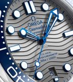 Omega 210.30.42.20.06.001 Seamaster Drive Master Chronometer 42mm (21030422006001)