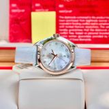 Omega Aqua Terra 231.23.34.20.55.001 18k ladies