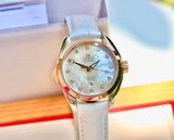 Omega Aqua Terra 231.23.34.20.55.001 18k ladies