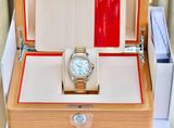 Omega Seamaster 231.25.39.21.55.001AquaTerra Diamond Benzel