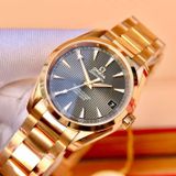 Omega Seamaster 231.50.39.21.06.003 Aqua Terra Chronometer 150M 38.5mm