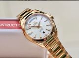 Omega  Seamaster Aqua Terra 231.50.42.22.02.001 18k gold 41mm