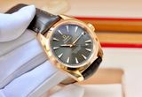 Omega Seamaster 231.53.39.21.06.003 18k
