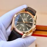 Omega Seamaster  231.53.43.22.06.001 18k