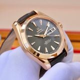 Omega Seamaster  231.53.43.22.06.001 18k