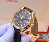 Omega Seamaster  231.53.43.22.06.001 18k