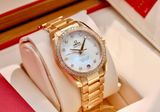 Omega Aqua Terra 231.55.39.21.55.001 150m Master Chronometer Red Gold