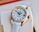 Omega 231.58.30.20.55.001  Seamaster Aqua Terra Ladies size 30mm