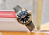 Omega Seamaster Planet Ocean 232.63.38.20.01.001 600M 18K Rose Gold