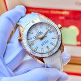 Omega Seamaster 232.63.42.21.04.001 18k