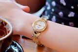 Đồng hồ Olympia Star Ladies Watch  OPA28025DLSK-T