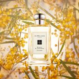 Nước Hoa Jo Malone Mimosa & Cardamom Cologne 100ml