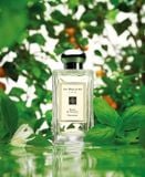 Nước Hoa Unisex Jo Malone Basil & Neroli Eau De Cologone 100ml