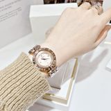 Đồng hồ Versace Eon Rose Gold Ladies Watch VE7900920 33mm