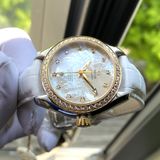 Omega 231.28.34.20.55.004