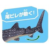  Mô hình động vật biển cá nhám voi Whale Shark (Floatable ver.) ANIA AL-05 Takara Tomy 137627 