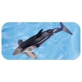  Mô hình động vật biển có khớp cá voi sát thủ Killer Whale (Floatable Ver.) Takara Tomy 137634 