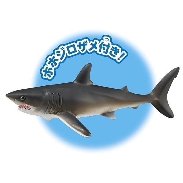  Mô hình động vật biển cá mập Megalodon (Floatable Ver.) Ania AL-11 Takara Tomy 168997 