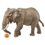 Mô hình động vật hoang dã voi Châu Phi African Elephants (With orange) ANIA AS-02 Takara Tomy 160564 
