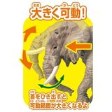  Mô hình động vật hoang dã voi Châu Phi African Elephants (With orange) ANIA AS-02 Takara Tomy 160564 