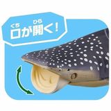  Mô hình động vật biển cá nhám voi Whale Shark (Floatable ver.) ANIA AL-05 Takara Tomy 137627 