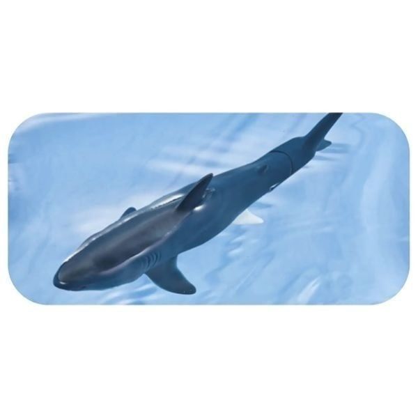  Mô hình động vật biển cá mập Megalodon (Floatable Ver.) Ania AL-11 Takara Tomy 168997 