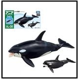  Mô hình động vật biển có khớp cá voi sát thủ Killer Whale (Floatable Ver.) Takara Tomy 137634 