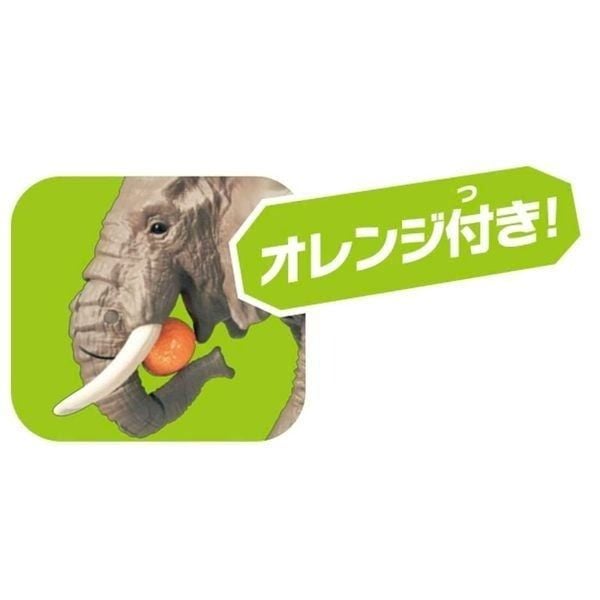  Mô hình động vật hoang dã voi Châu Phi African Elephants (With orange) ANIA AS-02 Takara Tomy 160564 