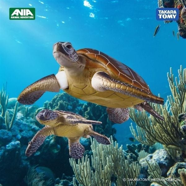  Mô hình động vật biển Rùa biển Green Sea Turtle (Floatable Ver) ANIA AS-20 Takara Tomy 137610 