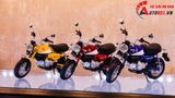  Mô hình xe Honda Monkey 125cc 1:12 Aoshima 7979 