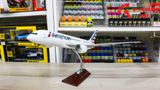  Mô hình máy bay American Boeing B787 không bánh kích thước 43cm MB43001 