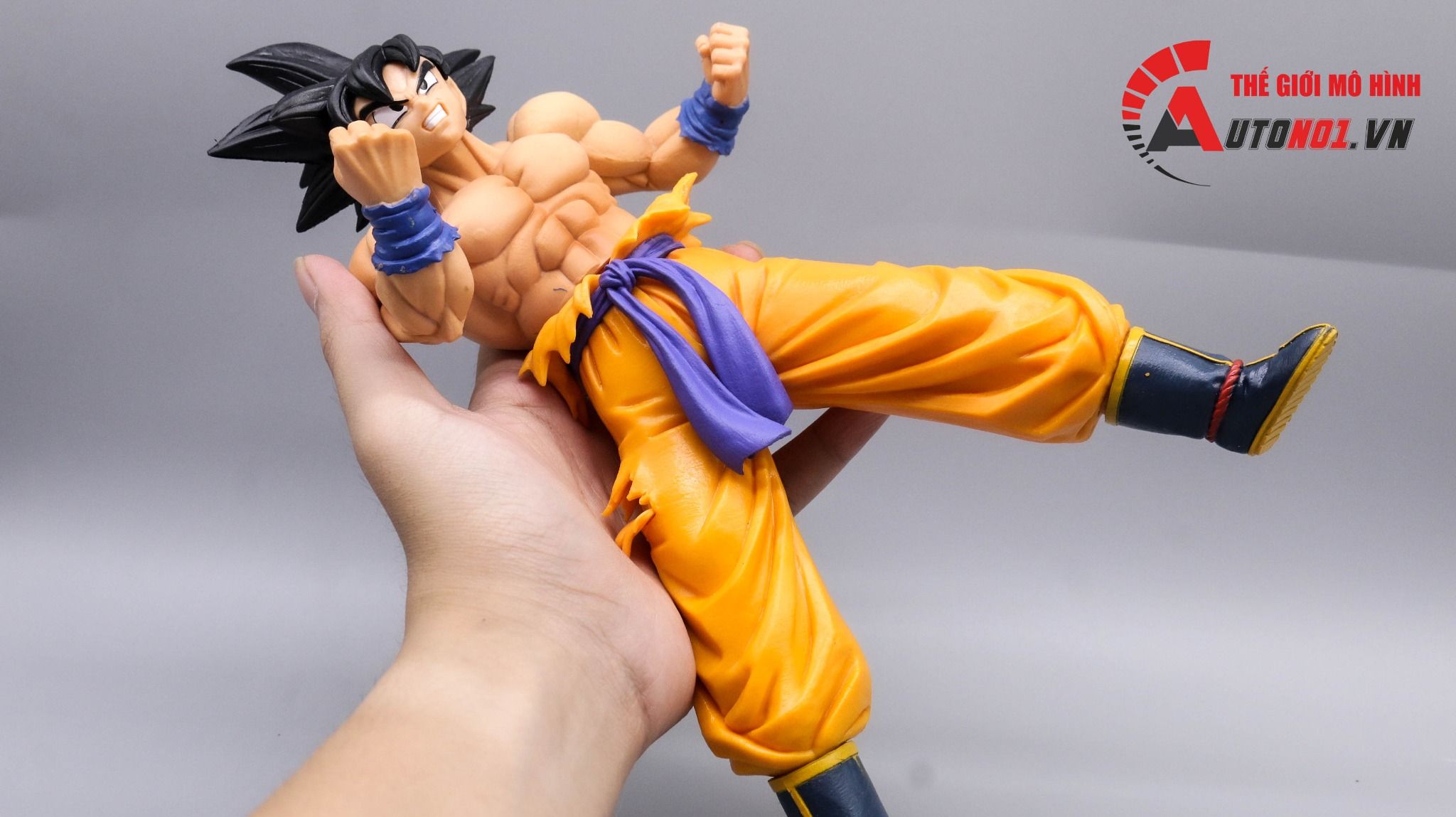  Mô hình nhân vật Dragonball Songoku 25cm Fg021 