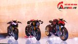  Mô hình xe cao cấp Ducati 1199 Panigale Cafe Racer Grey Red cao cấp nồi khô ghi đông mâm căm 1:12 Tamiya D201 