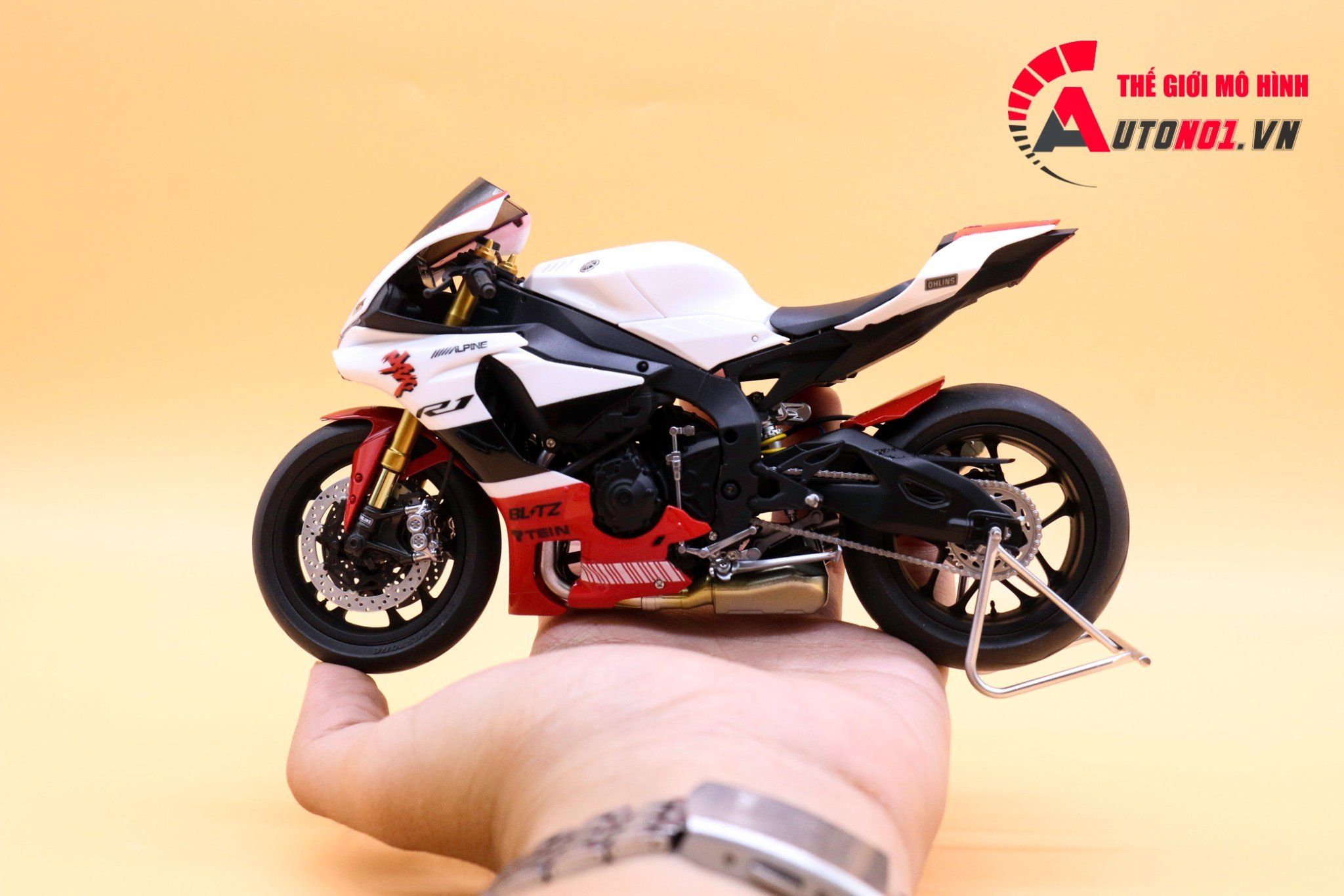  Mô hình xe Yamaha Yzf R1m Anniversary 1:12 Tamiya D032 