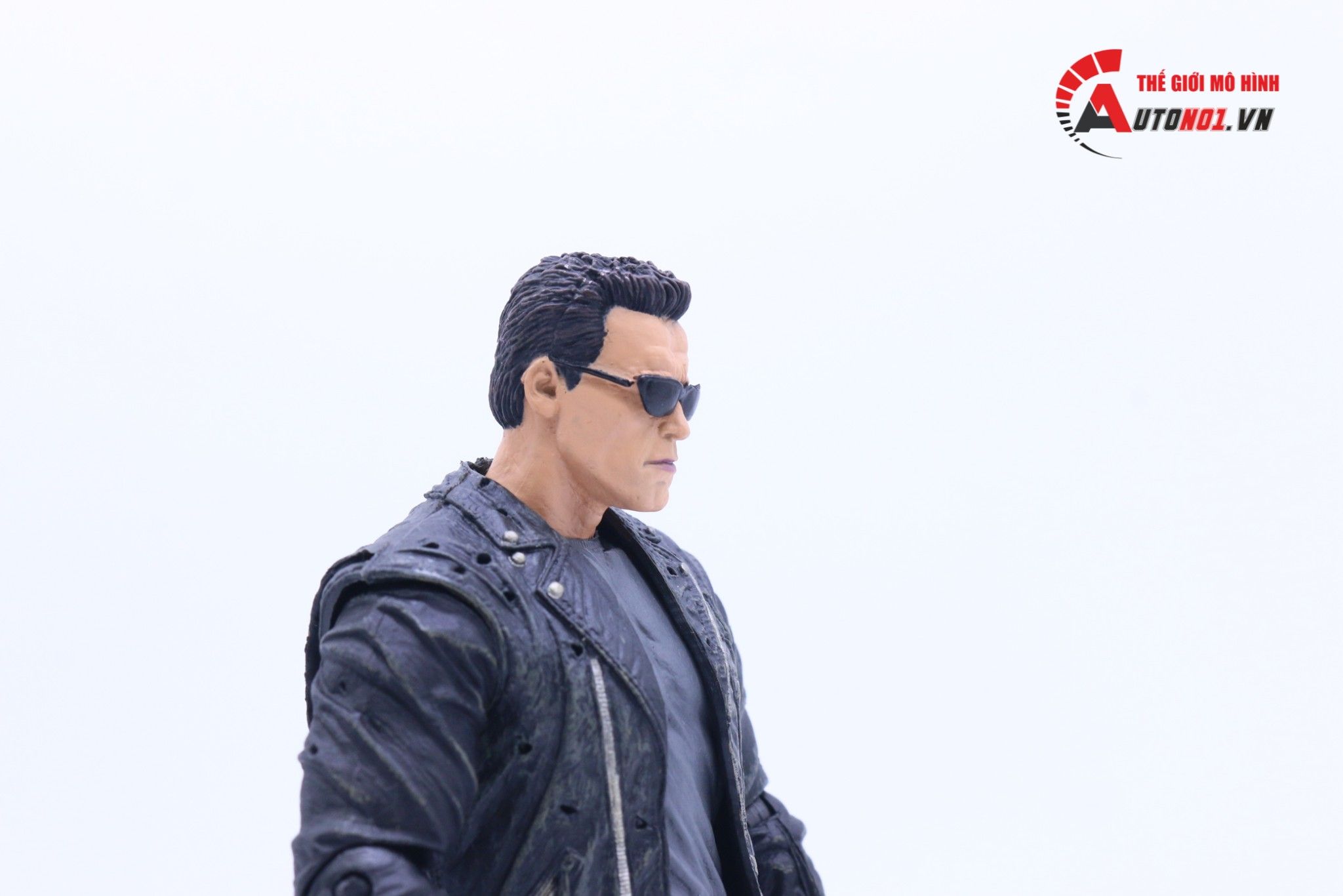  Mô hình nhân vật Terminator T-800 Battle Across Time 17cm Real Toys FG178 