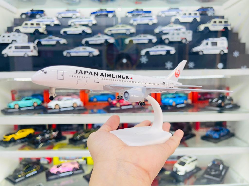 Mô hình máy bay Japan Airlines Boeing B787 20cm Everfly MB20033