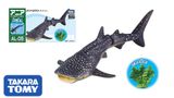  Mô hình động vật biển cá nhám voi Whale Shark (Floatable ver.) ANIA AL-05 Takara Tomy 137627 