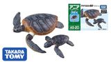  Mô hình động vật biển Rùa biển Green Sea Turtle (Floatable Ver) ANIA AS-20 Takara Tomy 137610 