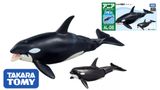  Mô hình động vật biển có khớp cá voi sát thủ Killer Whale (Floatable Ver.) Takara Tomy 137634 