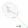 Vợt Cầu Lông Mizuno ALTAIR T309 ML