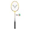 Vợt Cầu Lông  Victor ARS 10