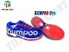Giày Cầu Lông Kumpoo KHR - D72 ( Xanh )