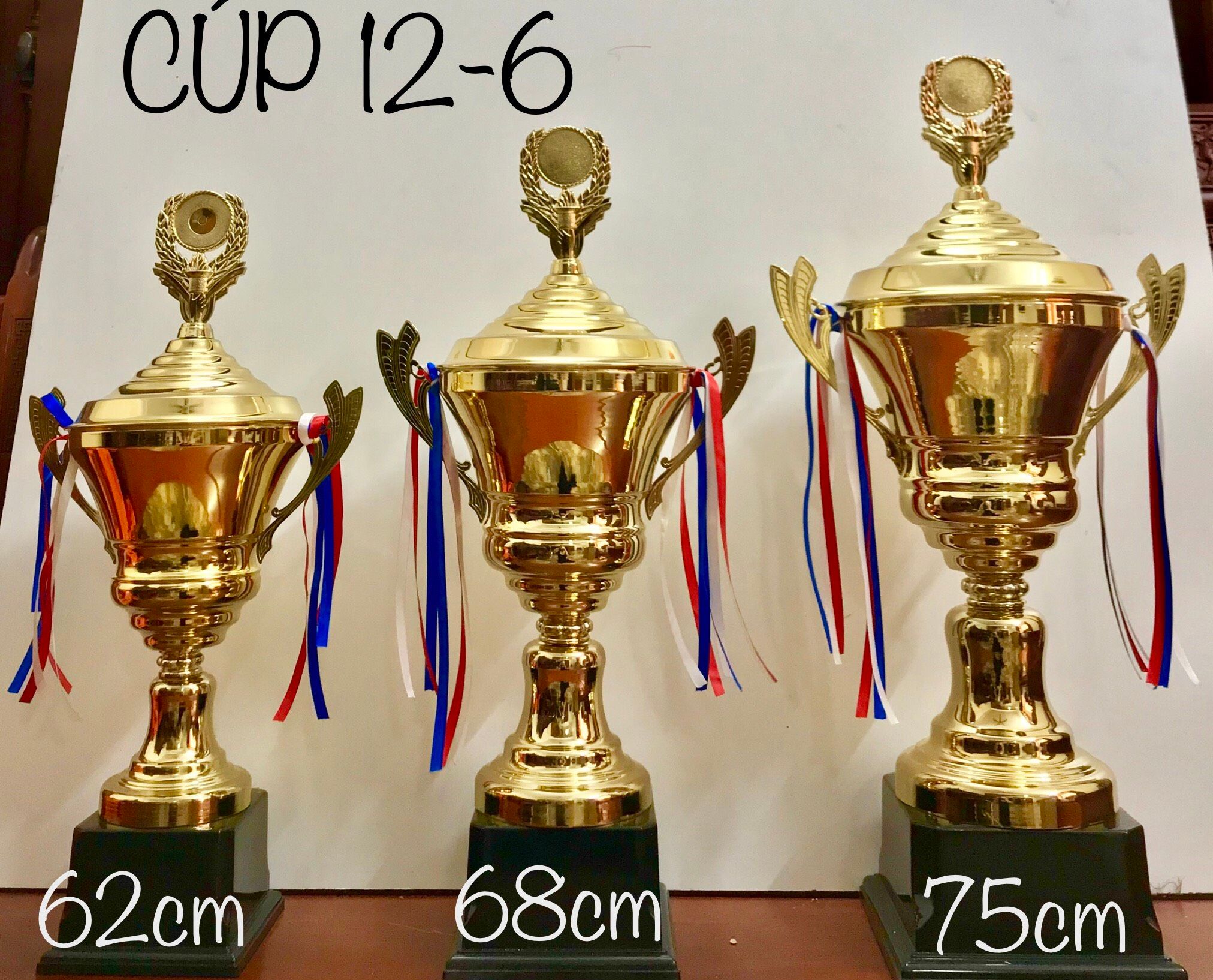 Cup Lưu Niệm Thể Thao 12-6