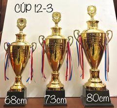 Cup Lưu Niệm Thể Thao 12-3