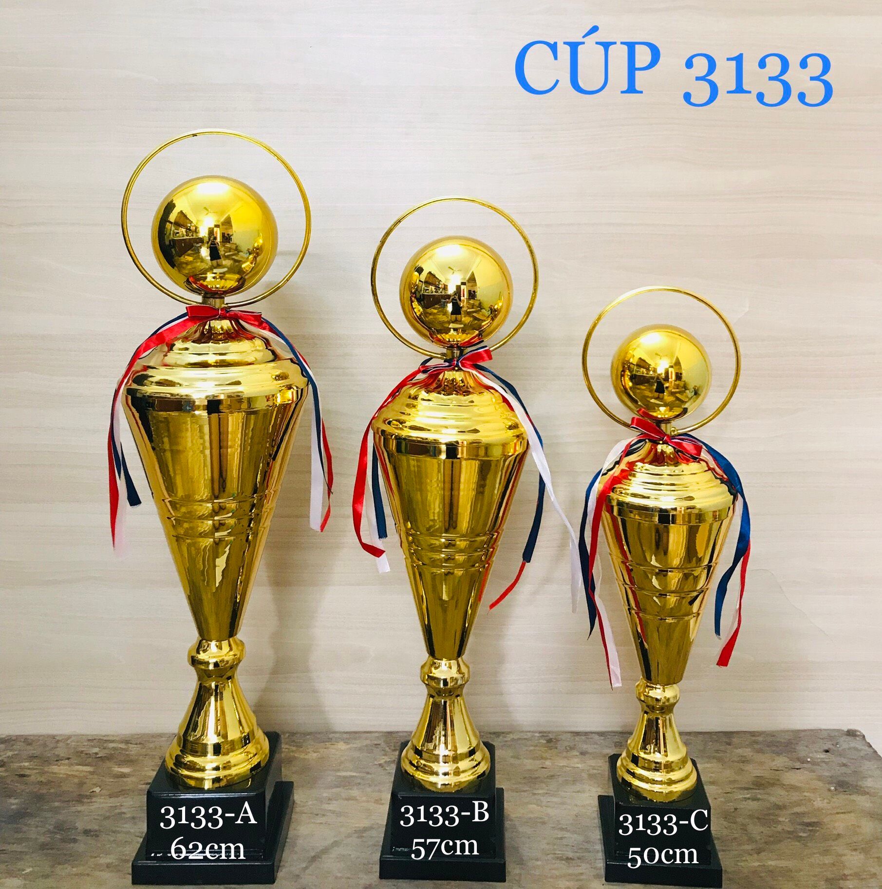 Cup Lưu Niệm Thể Thao 3133